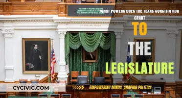 Texas Constitution: Powers Granted to Legislature