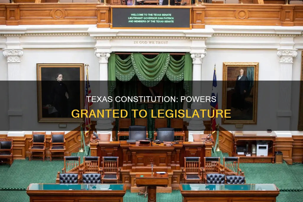 what powers does the texas constitution grant to the legislature