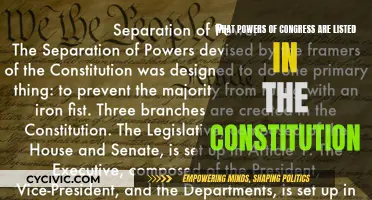 Congress Powers: Exploring the US Constitution's Listed Abilities