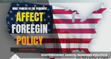 Presidential Powers: Foreign Policy Influence