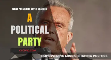 The Independent Leader: A President Without Party Affiliation