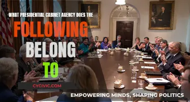Exploring Agency Affiliations: Cabinet Conundrum
