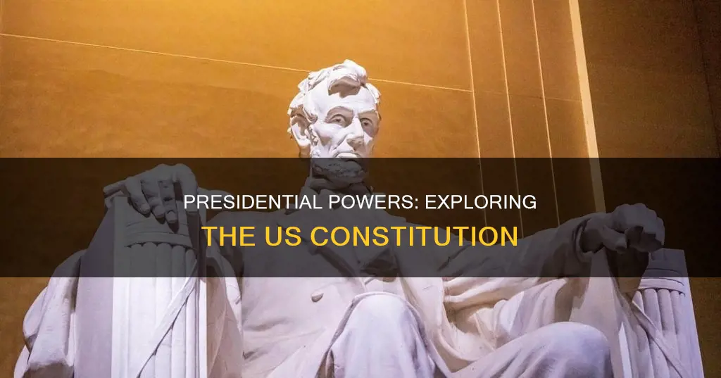 what presidential roles are mentioned in the constitution
