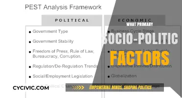 Socio-Political Forces Shaping Societies: Key Factors and Their Impact