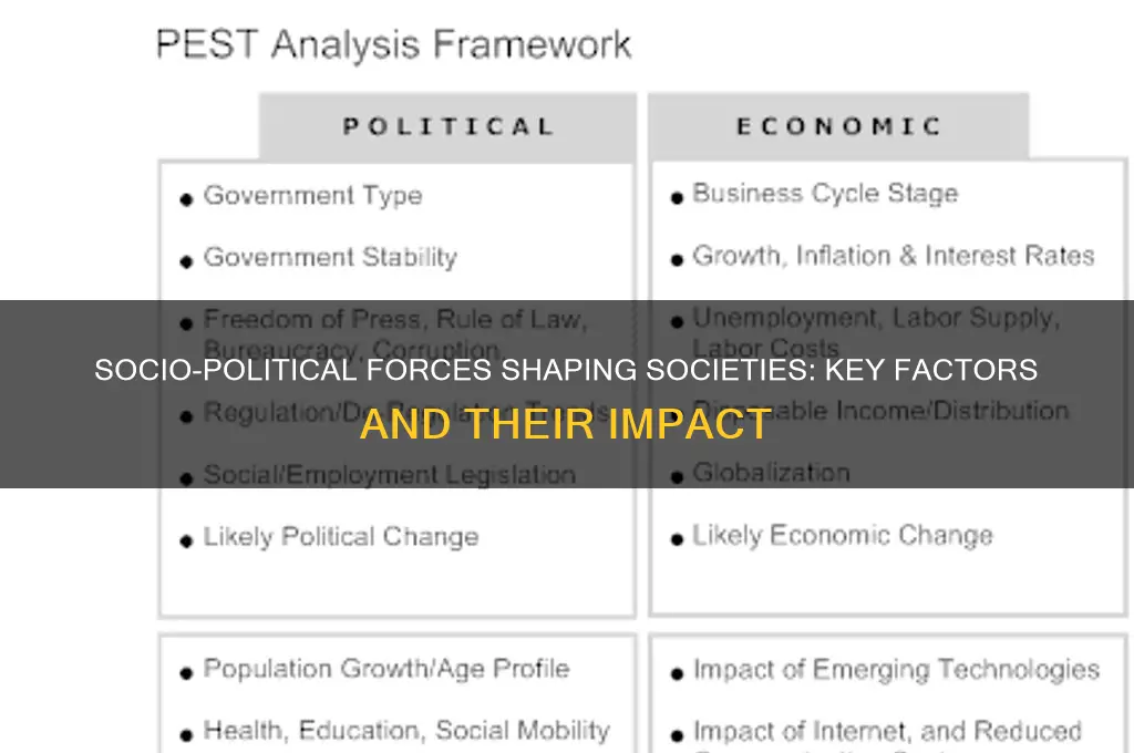 what primary socio-political factors