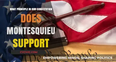 Montesquieu's Influence on the Constitution's Principles