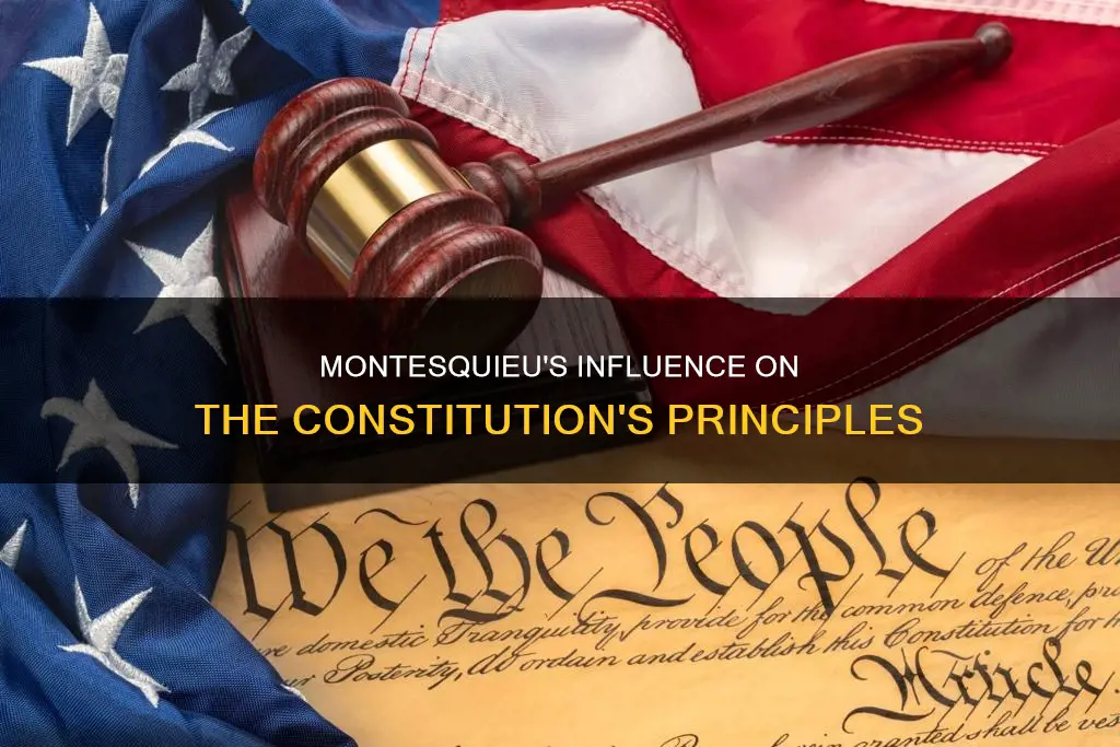 what principle in our constitution does montesquieu support