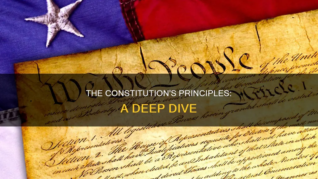 what principle is illustrated by this excerpt from the constitution