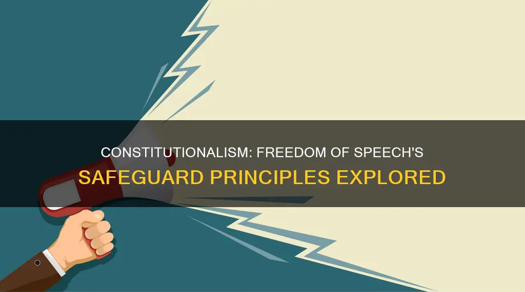 what principle of constitutionalism protected freedom of speach