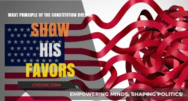 Understanding the Constitution: Principles and Their Supporters