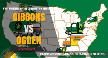 Gibbons vs. Ogden: Exploring Constitutional Principles
