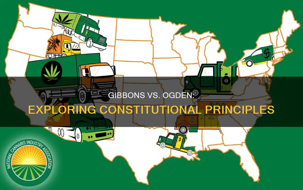 what principle of the constitution reflects in gibbons vs ogden