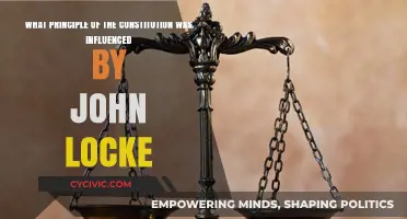 Locke's Influence on the Constitution's Principles