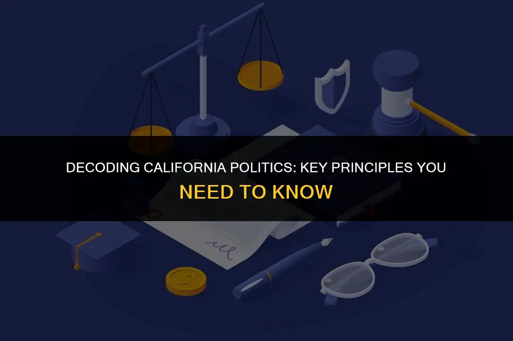 what principles are important for understanding california politics