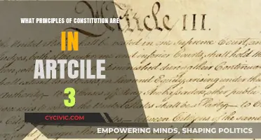 Foundational Principles of the Constitution in Article 3