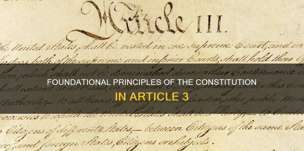 what principles of constitution are in artcile 3