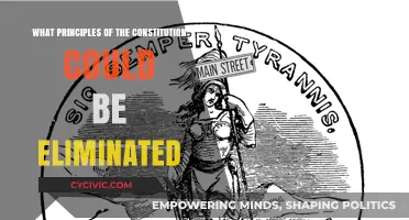 Principles of the Constitution Worth Re-examining