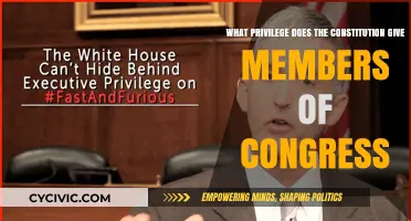 Congressional Privileges: Constitutional Powers and Protections