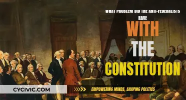 Anti-Federalists' Constitution Concerns: What Were Their Main Issues?