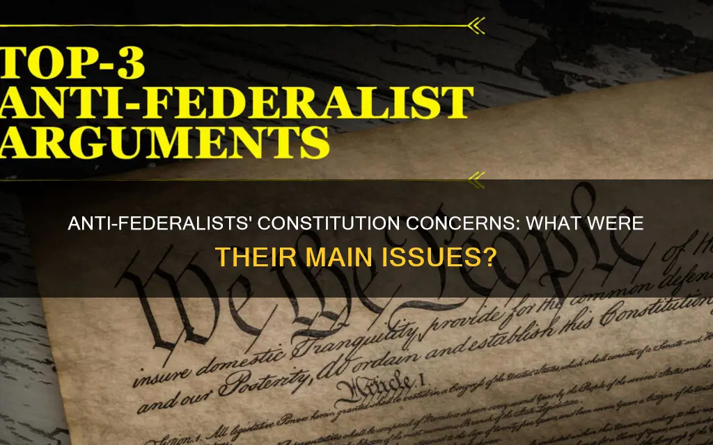 what problem did the anti-federalists have with the constitution