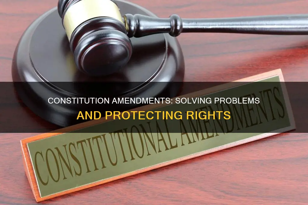 what problem with the constitution did it solve