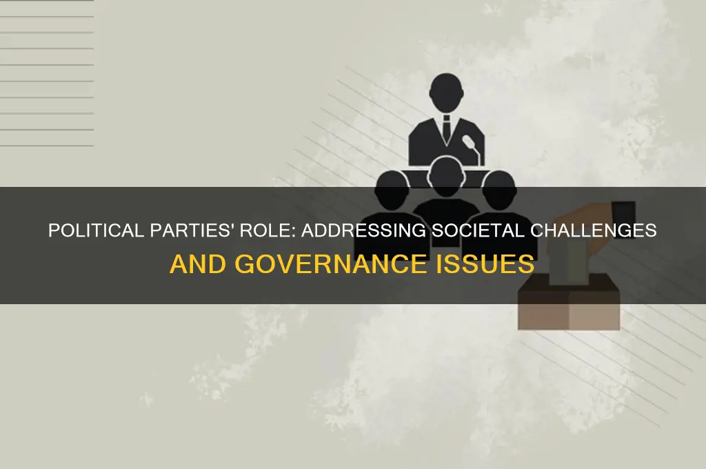 what problems are political parties meant to solve