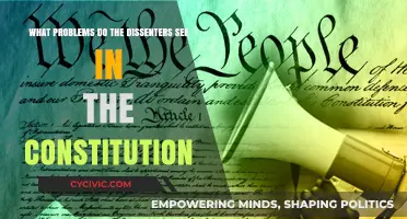 Dissenters' Concerns: Constitutional Flaws and Their Solutions
