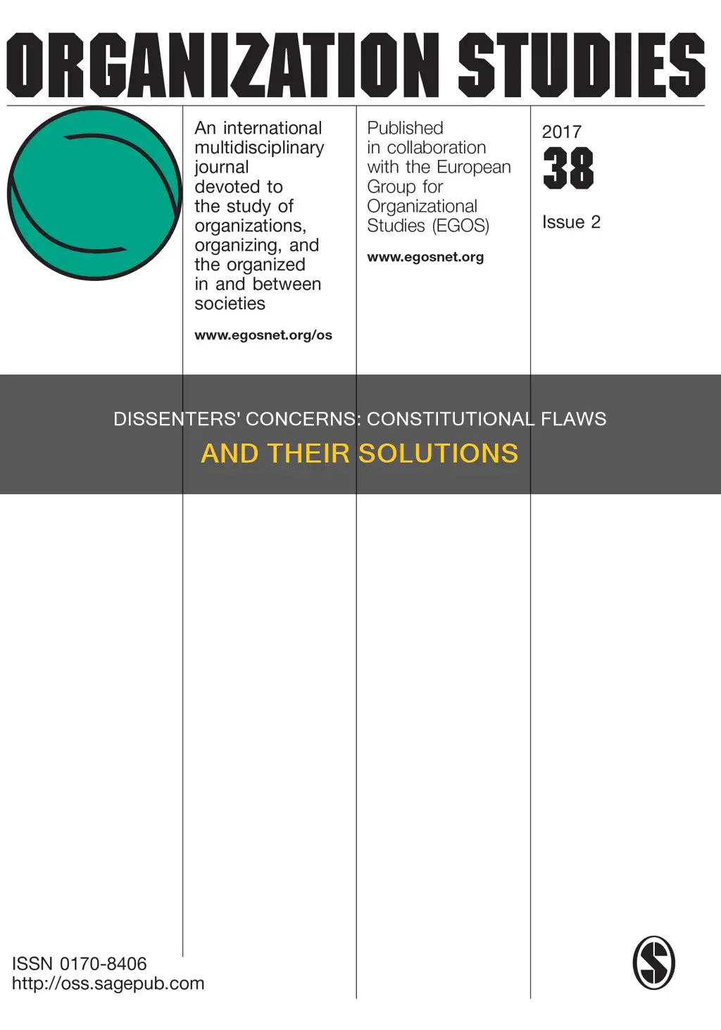 what problems do the dissenters see in the constitution