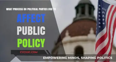 How Political Parties Shape Public Policy: Strategies and Influence Explained