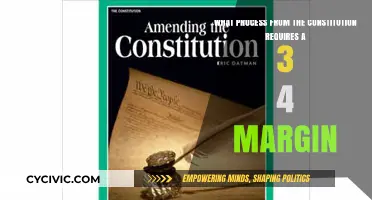 Understanding the Constitution's Super-Majority Rule