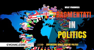 Divided We Stand: Unraveling the Roots of Political Fragmentation