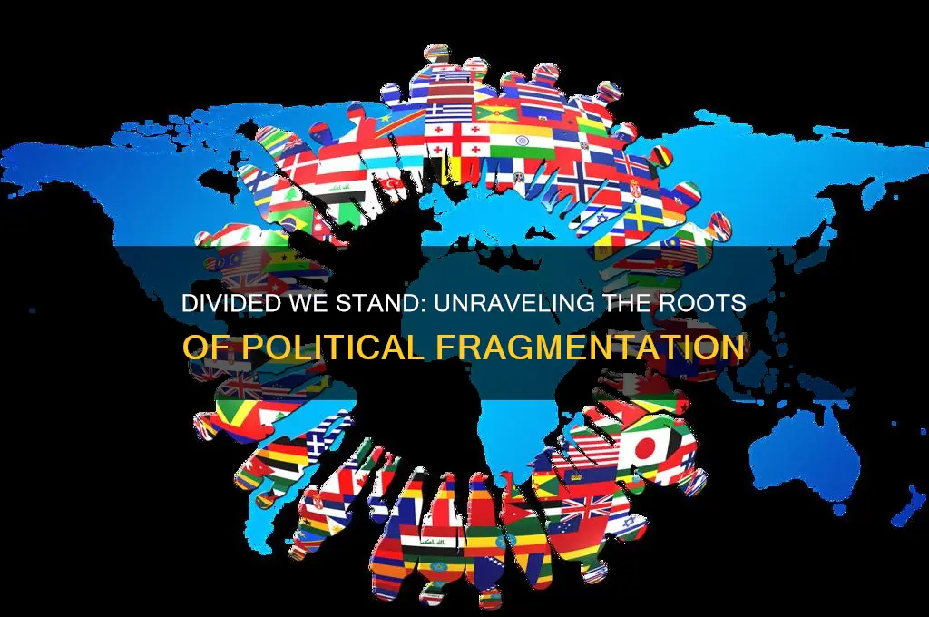 what produces fragmentation in politics
