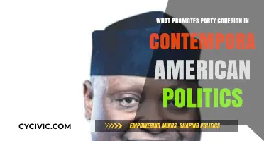 Uniting the Ranks: Key Factors Driving Party Cohesion in Modern U.S. Politics