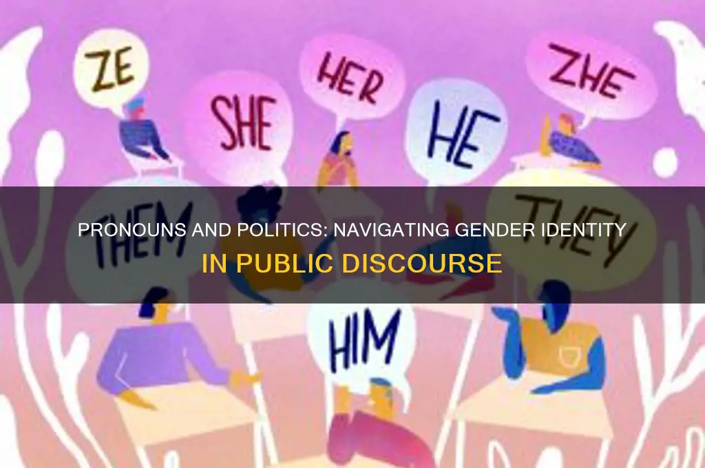 what pronoun goes with politics