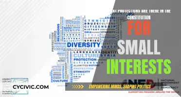 Small Interests, Big Protections: Constitutional Safeguards Explored
