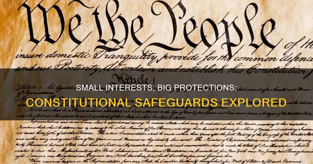 what protections are there in the constitution for small interests