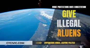 The Constitution and Illegal Aliens: What Protections Exist?