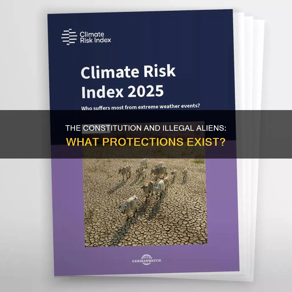 what protections does constitution give illegal aluens