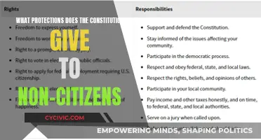 The Constitution's Protections for Non-Citizens Explored