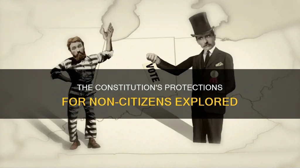 what protections does the constitution give to non-citizens
