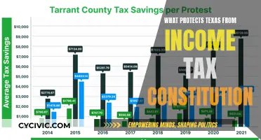 Texas Income Tax: Constitutional Safeguards Explained