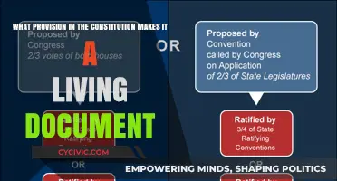 The Constitution's Living Legacy: A Dynamic Document