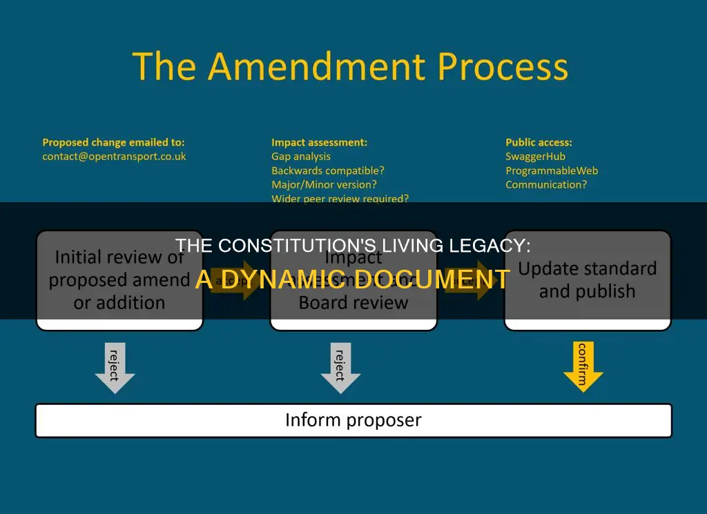 what provision in the constitution makes it a living document