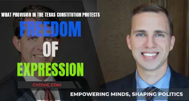 Texas Constitution: Freedom of Expression Safeguards