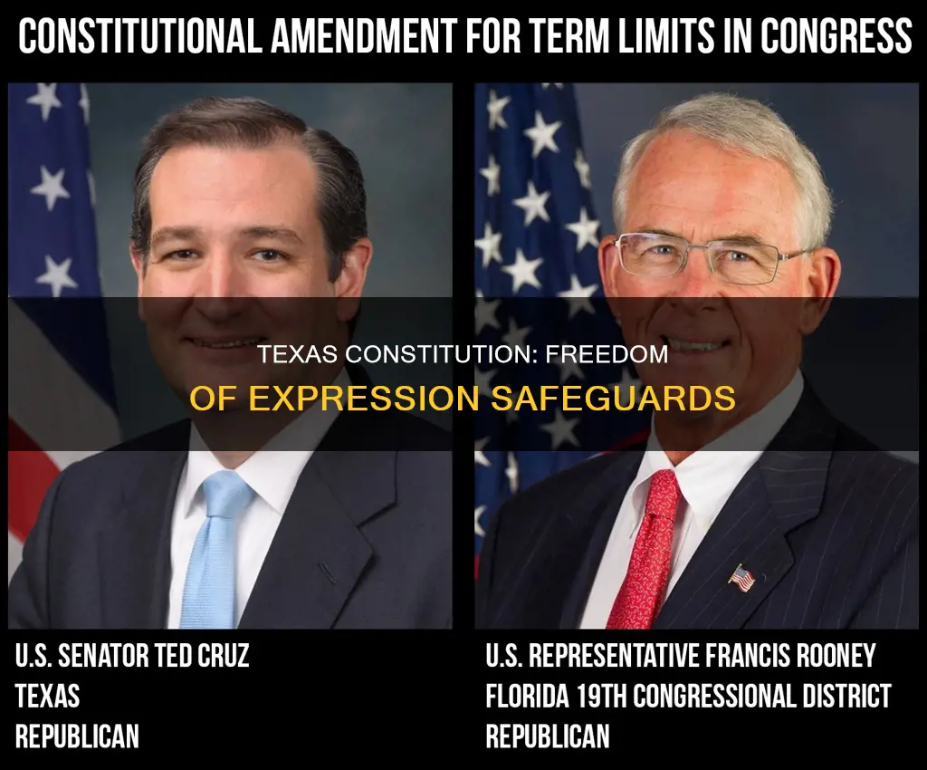 what provision in the texas constitution protects freedom of expression