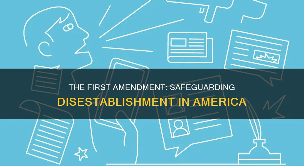 what provision in the us constitution expressly supports disestablishment