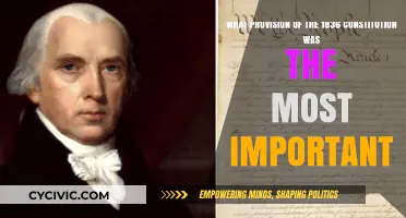 The Most Important Provision of Texas' 1836 Constitution