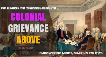 Constitution's Colonial Grievance Provision: What's Addressed?