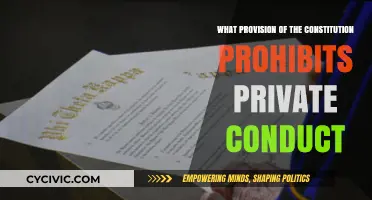 The Constitution's Reach: Private Conduct and the Law