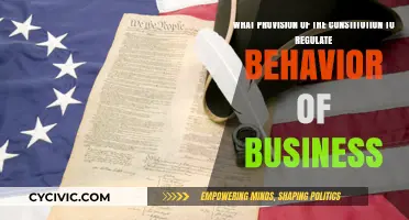 Business Behavior: Constitutional Regulation